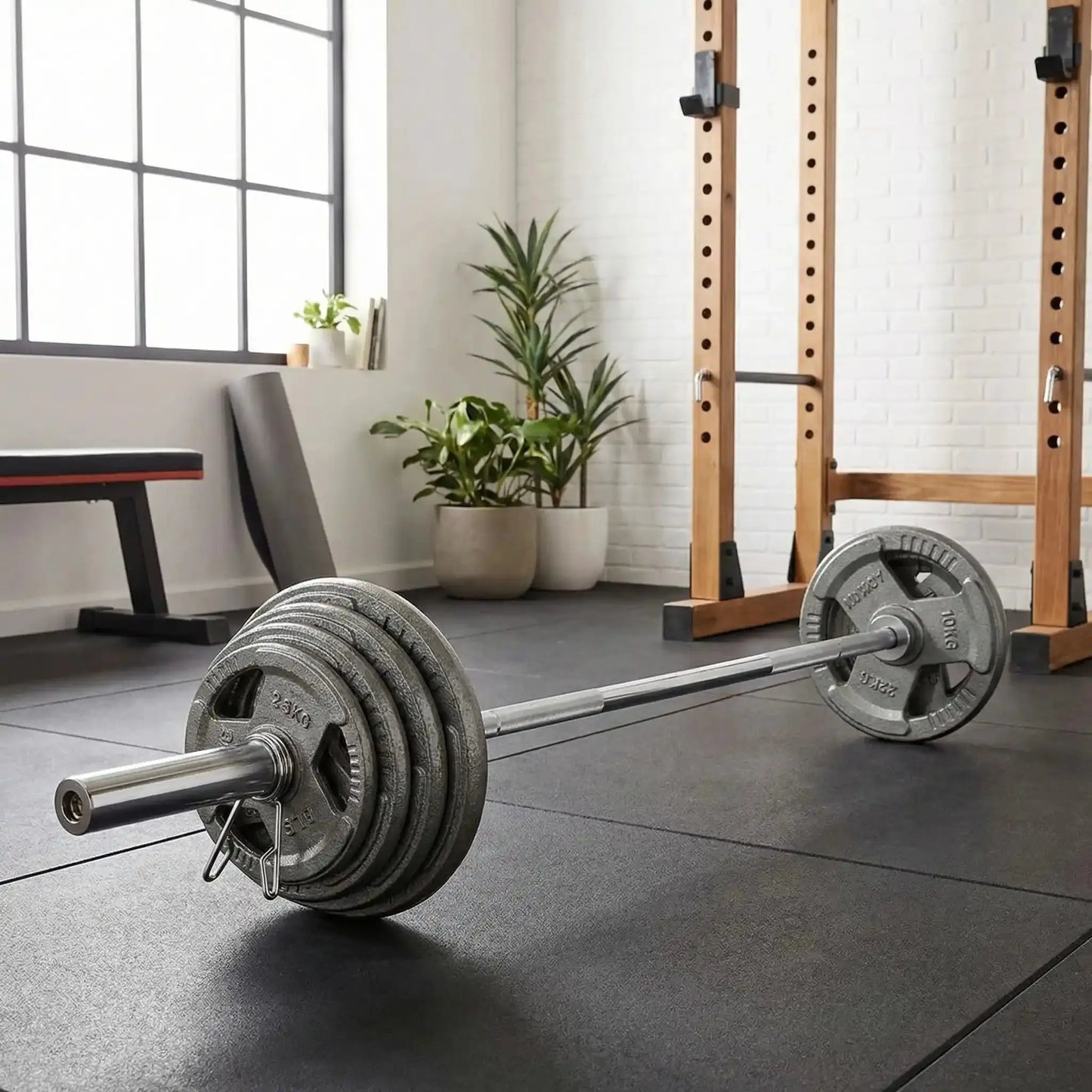 barre olympique disque de fonte home gym