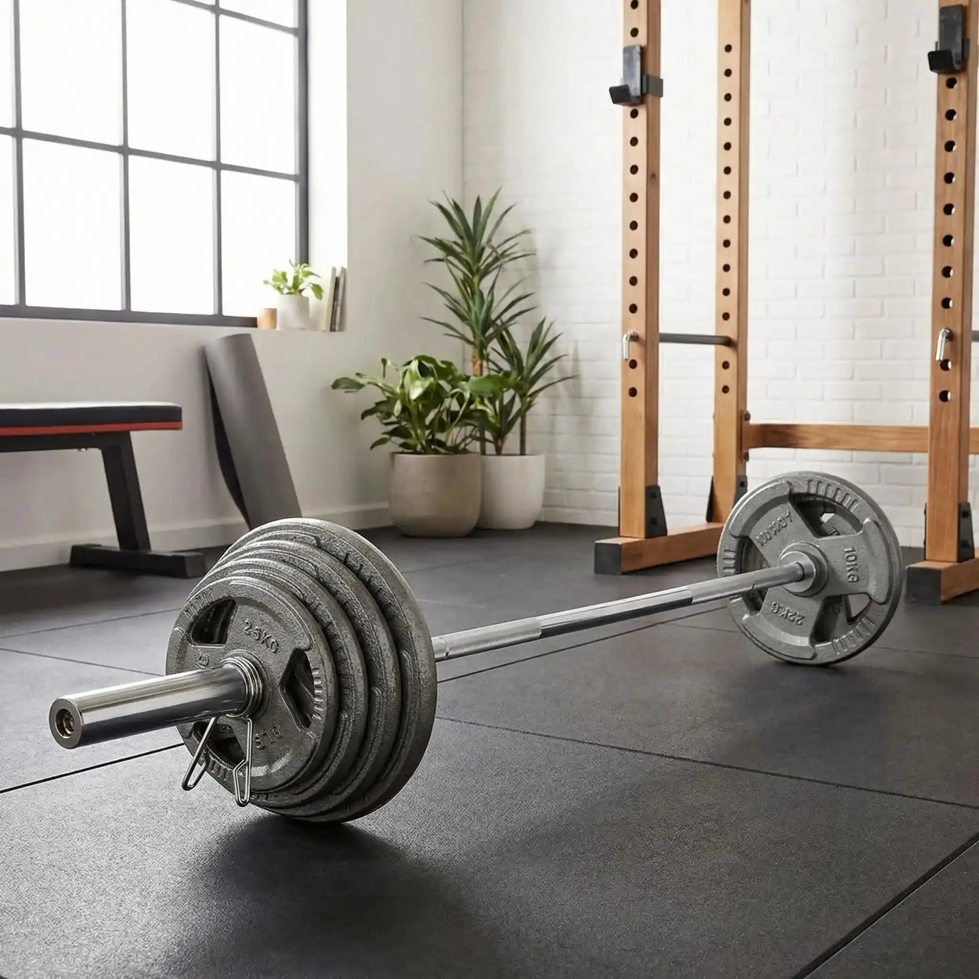 barre olympique disque de fonte home gym