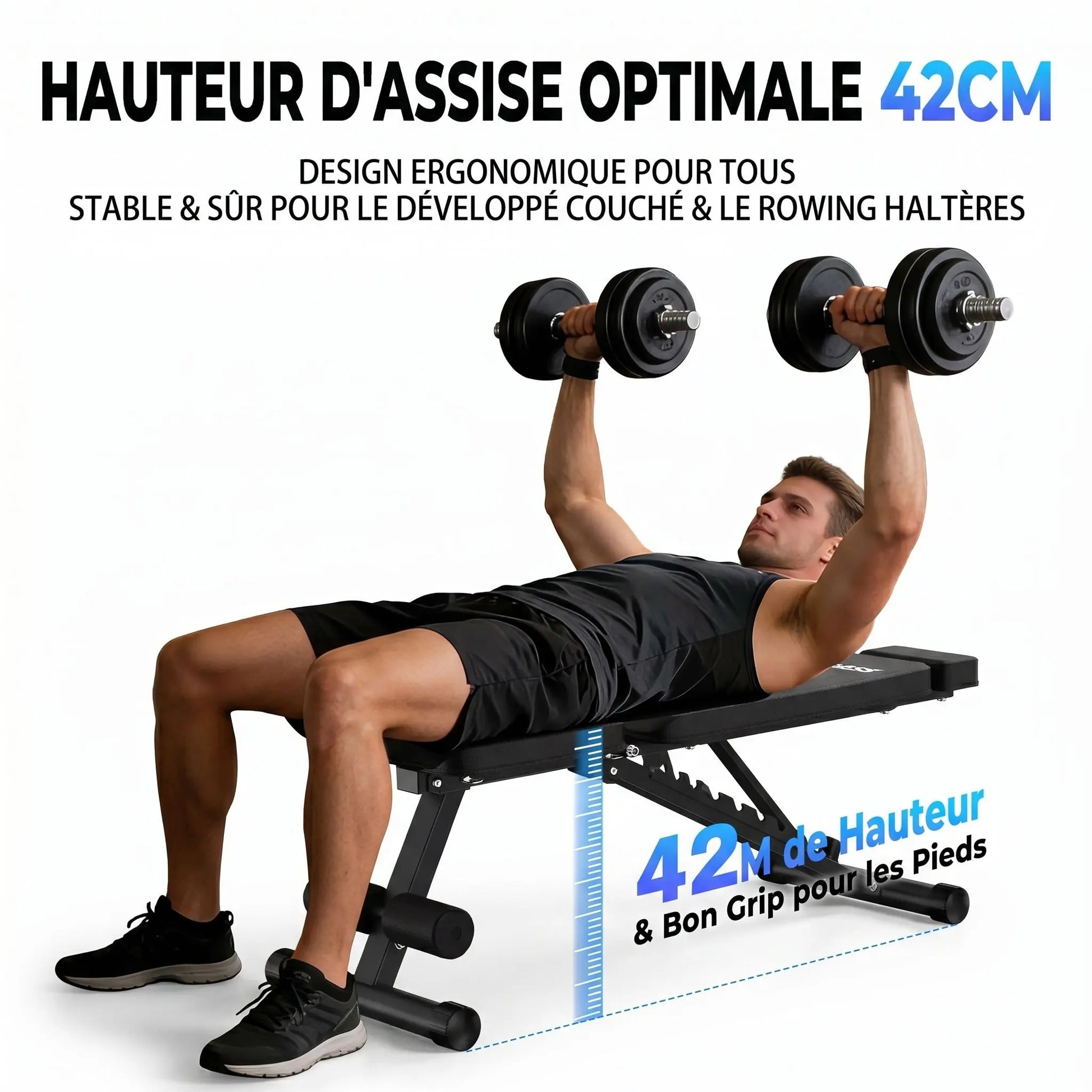 hauteur banc muscu