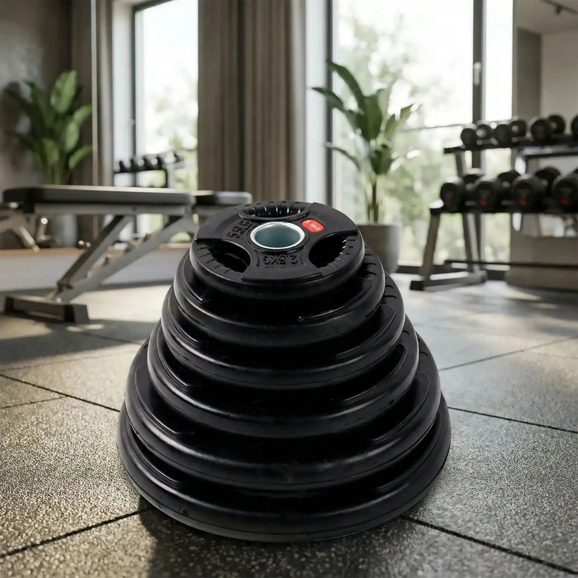 pile de disque musculation