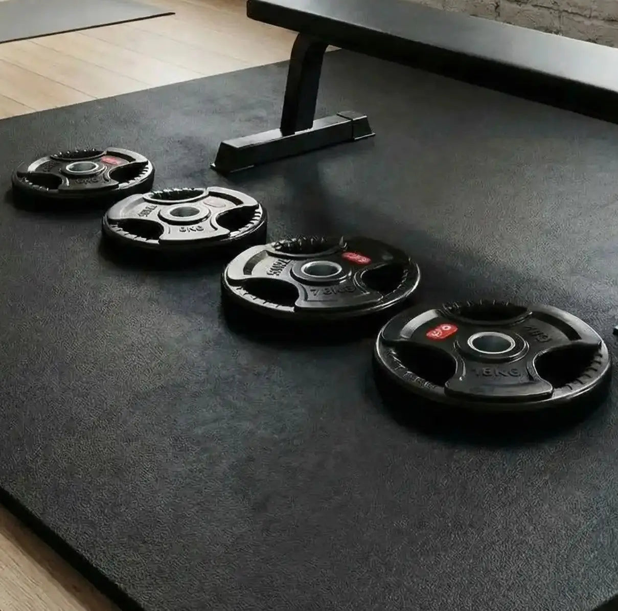 zoom disque musculation